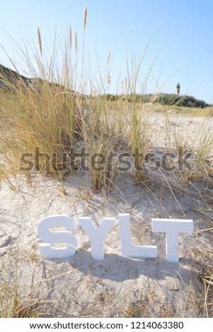Photo witk Sylt Letters in the sand  from the dunes and the coast  of sylt island germany a take in the  late sun light