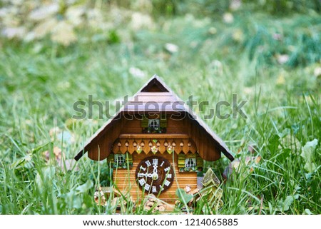 Wooden wall clock in the form of a house stand in the bright green grass. Design element. In the center of the frame.
