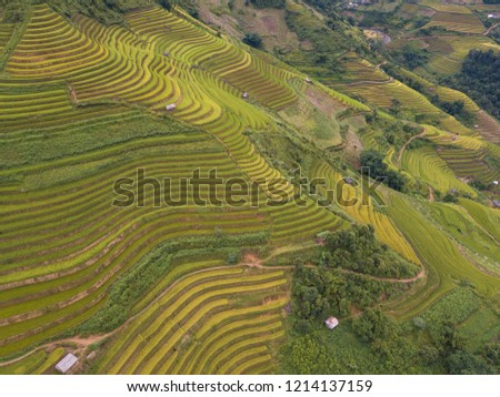 Aerial view of Vietnam landscapes. Rice fields on terraced of Mu Cang Chai, YenBai. Royalty high-quality free stock image of beautiful terrace rice fields prepare the harvest at Northwest Vietnam