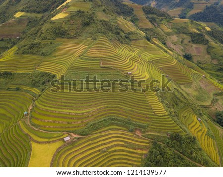Vietnam landscapes with terraces rice field. Rice fields on terraced of Mu Cang Chai, YenBai. Royalty high-quality free stock image of beautiful terrace rice fields prepare the harvest at Vietnam