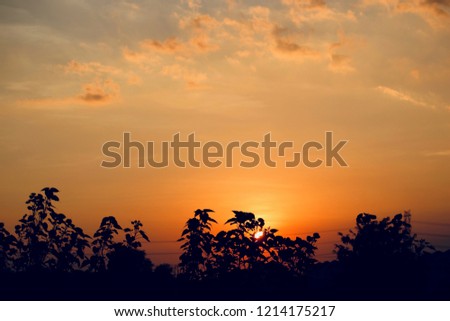 Nature picture sunset