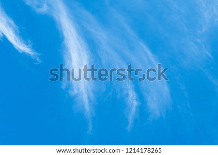 White clouds float in the sky. Bright sunny day Is a beautiful background image