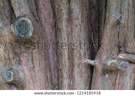 Natural wood bark