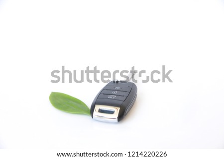 car key with green leaf 