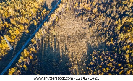Aerial view. Directly above the deciduous forest in autumn. Top view of the grove with Oak and birch trees. Red, yellow and green lush foliage on the trees. 