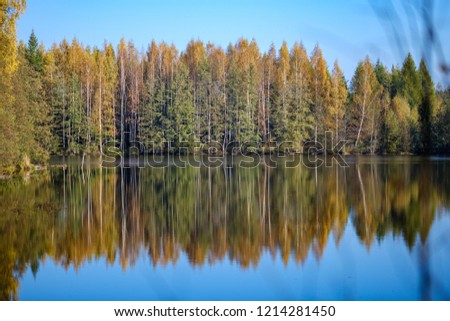 nature reflections in clear water in lake or river at countryside. autumn colors