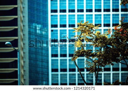 office building closeup and tree, business concept