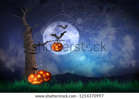 Halloween Pumpkins on wood. Halloween Background At Night Forest with Moon.