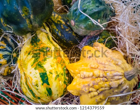 Composition of pumpkins on basket with straw
