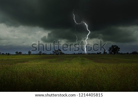 Strong lightning in harvesting rice field Royalty-Free Stock Photo #1214405815