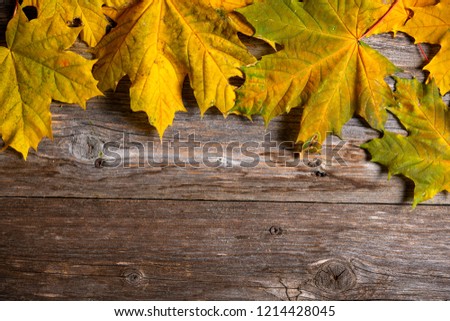 fall-still life with yellow maple leaves on wooden ground