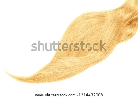 Blond hair, isolated on white background. Long beautiful ponytail