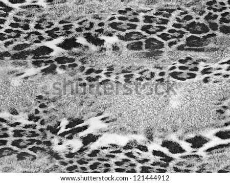 Leopard Style Background In Black And White