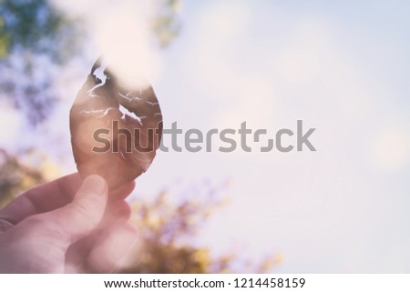 Abstract image of man's hand holding dry and cracked dry leaf against bokeh background