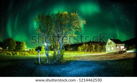 Picture shows the northern lights in Norway