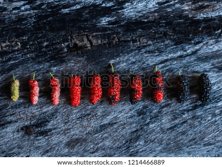Sort mulberry fruits on a wooden background.