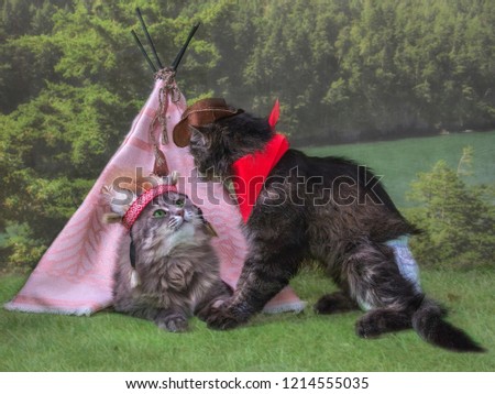 A cat in a headdress of Indian women in a wigwam and a cat in the image of a cowboy