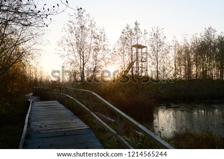 Early Morning on the marshes. Yelnya, Belarus