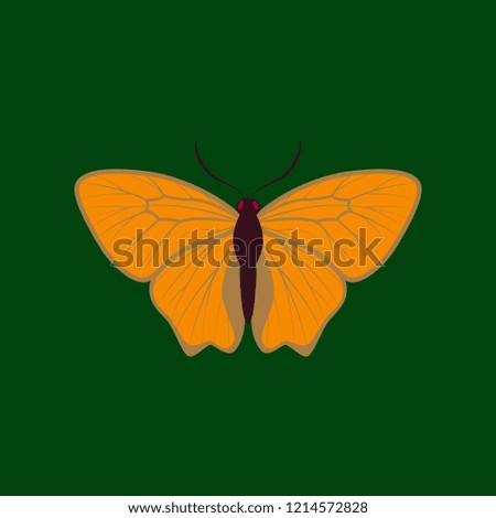 Colorful icon of butterfly isolated on green