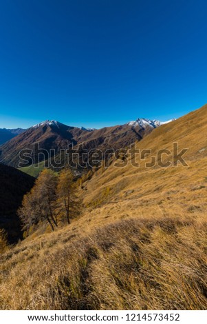 Colorful Autumn Mountain Landscape Panorama In East Tyrol