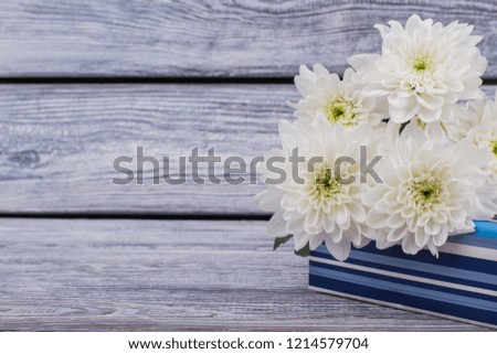 Beautiful autumn chrysanthemums and gift box. Gift box with bouquet of white flowers on rustic wood and copy space.