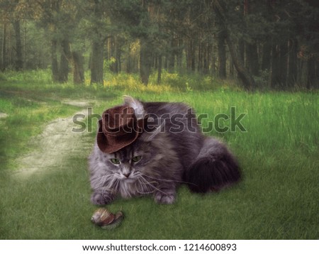Cat in a hunting hat in the forest