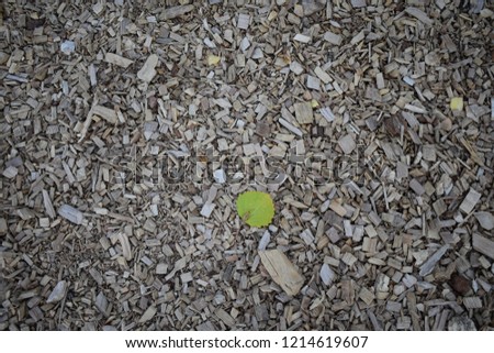 Chips and splinters on the ground creating a nice texture with a green leaf.