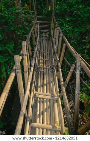 Old bamboo bridge in the middle of rainforest in Bali island, Indonesia