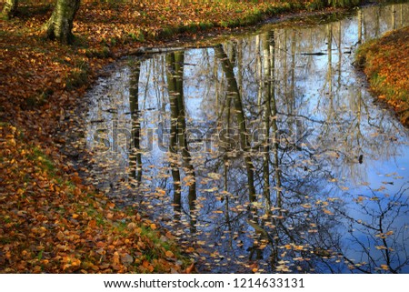 Autumn. Foliage in the pond. Reflection of trees in the water