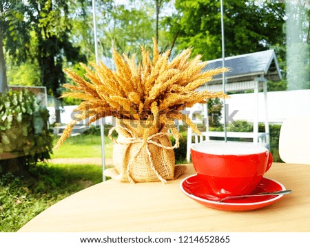 Coffee red cup and saucer on a wooden table. nature background.