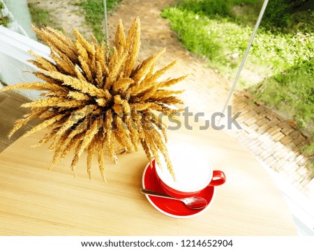 Coffee red cup and saucer on a wooden table. nature background.