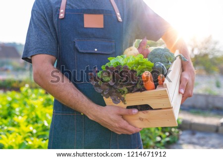 Basket with vegetables (cabbage, carrots, cucumbers, radish and peppers) in the hands of a farmer background of nature Concept of biological, bio products, bio ecology, grown by yourself, vegetarians.