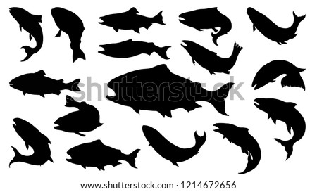 Set of salmon silhouette in line art style.Fish vector by hand drawing.Fish tattoo on white background.Black and white fish vector on white background.Salmon fish sketch for coloring book.