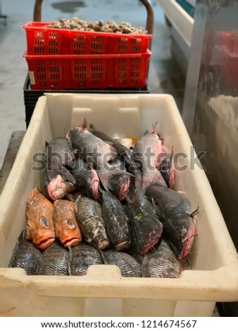 Fish at a fish market in Monterey California in the United States US