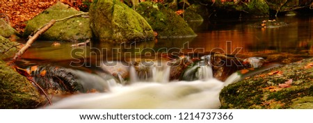 water in motion in autumn forest
