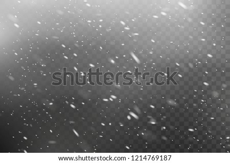 Falling Christmas snow. Snowstorm and blizzard. Snowflakes isolated on transparent background. Royalty-Free Stock Photo #1214769187