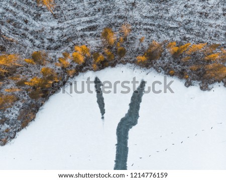Drone shot of crack in the ice on a frozen lake with orange trees in Swedish Lapland