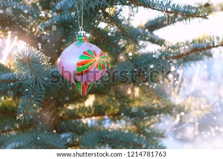 Christmas and New Year holidays concept. christmas ball on snowy fir branch, natural background. festive winter season. copy space