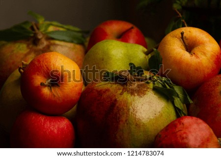 Autumn collection of fruits (pomegranates, pears apples)