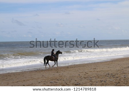 Horse ridden by female figure through the waves at ocean shore on beautiful sandy beach with sense of adventure and  freedom at low tide with calm sea, foam, animal near centre of picture moving right