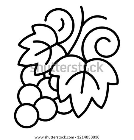 Grapes icon. Outline grapes vector icon for web design isolated on white background