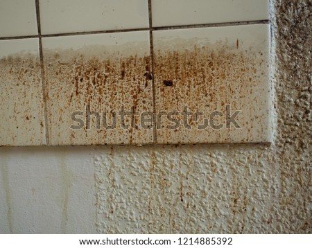 Grease spots and dirt stains on wall paper and tiles in old, filthy kitchen of demolished apartment before renovation, unclean and disgusting splashes of grunge from cooking before cleaning Royalty-Free Stock Photo #1214885392
