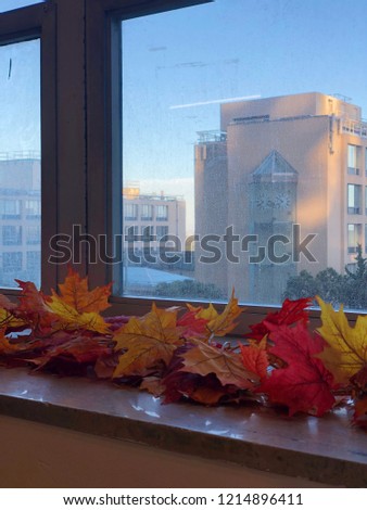 Autumn Window Decoration with Fall Leaves for the Holidays in Home