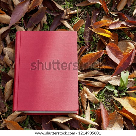 Books and autumn maple leaves
