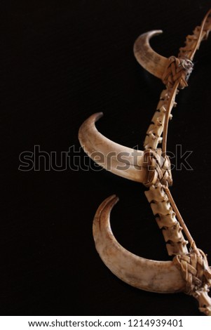 Detail of the bones and tusks that make up this antique Igorot necklace from the side.