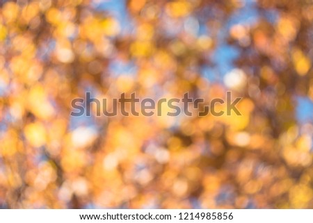 Beautiful, abstract bokeh background from circles. Gold and blue.