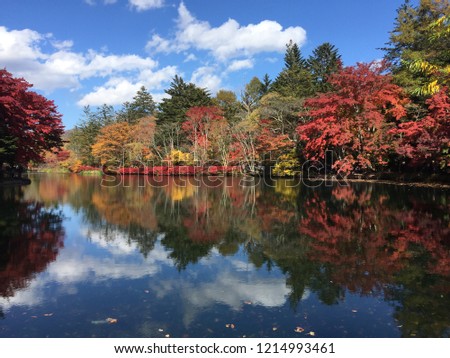 Very beautiful and colourful landscape at Kumoba Pond in Autumn, Karuizawa, Japan