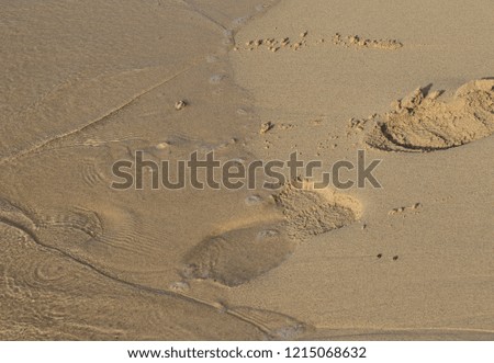 Footprints in the sand on the beach being washed away by the incoming tide image with copy space