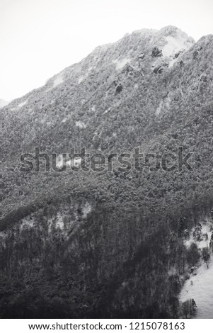 Snowy peak in Aspe Valley, France.