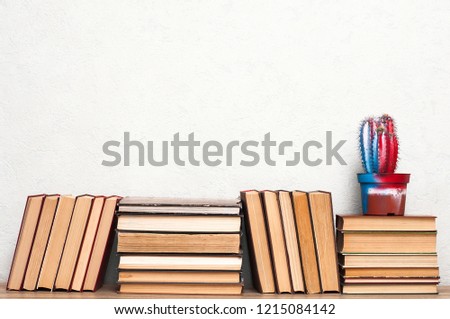 Books and bright colorful cactus on a white wall background.